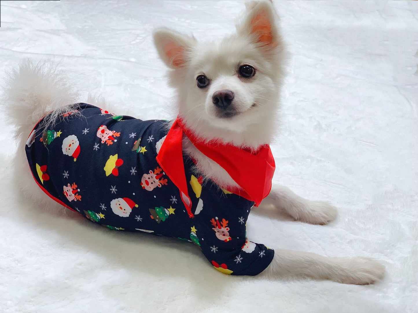 Matching Christmas Pajamas