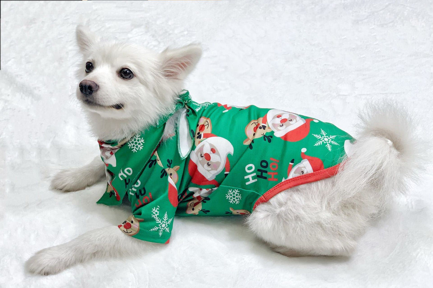 Matching Christmas Pajamas